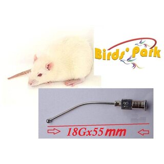 Gavage feeding reusable steel tube BALL Tip curved for Albino Rat Mouse  Mice, Canary Bird  Finch - 18G x55mm
