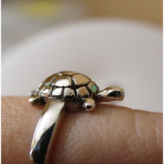 Tortoise top shaped ring