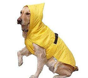 Birds' Park Dog Rain Coat for Your Pet (Yellow, 28-inch)