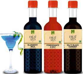 Dhampure Speciality Black Currant, Blueberry  Pomegranate Salt Kids Mocktail Syrup - 3 x 300ml