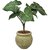 GARDEN DECO Artificial Plant for Home and Office Decor (High Real Appearance) (1 PC)