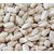 Birds Food Safflower seeds (kusum dana) Fresh  Natural Good for Sun conure, Eclectus, Grey Parrot  Macaw Birds' Park