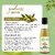 CareVeda Olive Oasis Hair Oil, 
Enriched with Bakuchi and Til Oil 
Suitable For All Hair Types 100ml