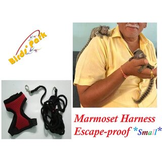Marmoset Harness Escape-proof with nylon lease size small Birds Park Marmoset Harness Escape-proof with nylon lease size small Birds Park