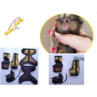                       Marmoset Harness-Belt-Halter Escape-proof with nylon lease size small Birds Park                                              