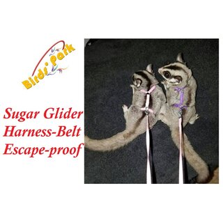                       Sugar Glider Harness-Belt-Halter Escape-proof with nylon lease size Small  Medium 2 pcs Birds Park                                              