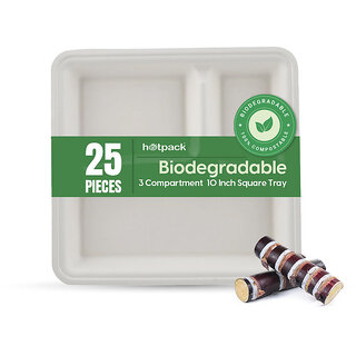 25 Pieces Biodegradable 3 Compartment 10 Inch Sqaure Tray