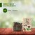 Organic Sweet Leaf (Stevia) 100gm