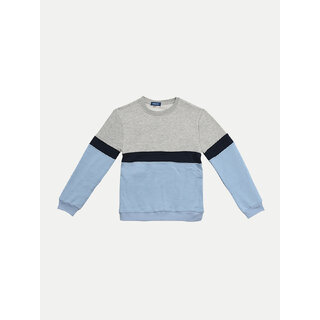                       Tricolour  Sweatshirt                                              