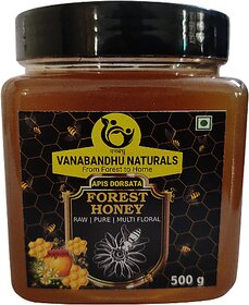 Vanabandhu Naturals Big Bee Wild Honey  ( Apis Dorsata ) 500g