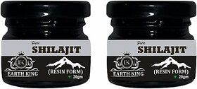 EARTH KING 100% Pure Shilajit/Shilajit Resin (Semi Liquid) for Strength  and  Stamina 40Gm (Pack of 2)