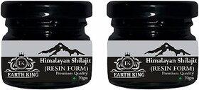 EARTH KING Himalayan Shilajit/Shilajit Resin (Semi Liquid) Strength  and  Stamina - 40Gm (Pack of 2)