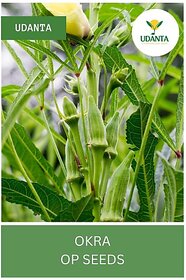 Udanta Bhindi - Okra Vegetable Seeds For Planting - Qty 250Gm Seed