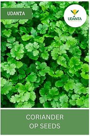 Udanta Dhania - Coriander Seeds For Grow For All Season - Qty 100Gm Seed