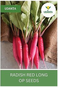 Udanta Radish Red Long Vegetable Seeds For Planting - Qty 50Gm Seed