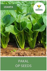 Udanta Spinach - Palak Organic Vegetable Seeds For Home Gardening - Qty 100Gm Seed