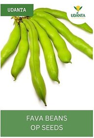 Udanta Bakla - Fava Beans Vegetable Seeds For Gardening - Qty 250Gm Seed