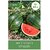 Udanta Tarbooj - Watermelon Seeds For Planting - Qty 100Gm Seed