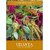 Udanta Amranthus Mix Summer Flower Seeds Average 30-40 Seeds Seed