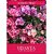 Udanta Godetia Mix Winter Season Flowers Seeds Avg 30-40 Each Packet Seed