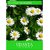 Udanta English Daisy Flowers Seeds Avg 30-40 Each Packet Seed