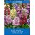 Udanta Stock Mix Flowers Seeds For Homr Gardening Avg 30-40 Each Packet Seed