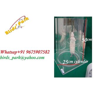                       Acrylic cylinder for the forced swimming test of rat SizeWidth 25cm Height 50cm Birds' Park                                              