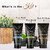 Globus Naturals Charcoal Detox Face wash Face Scrub Peel off Mask   Set of 3 