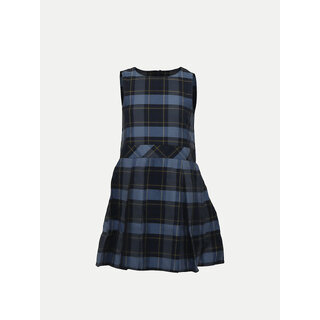                       Navy A-line Pleated-dress with Checks                                              