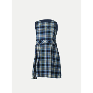                       Blue A-line Pleated-dress with Checks                                              