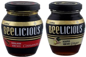 Beelicious Himalayan Honey with Cinnamon And Eucalyptus Honey with Ginger, Pack of 2, 250g Each