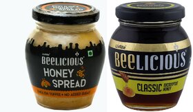 Beelicious Honey Spread - English Toffee (200g) And Classic Eucalyptus Honey (250g), Pack of 2 Combo