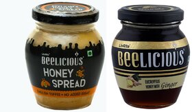 Beelicious Honey Spread - English Toffee (200g) And Eucalyptus Honey with Ginger (250g), Pack of 2 Combo