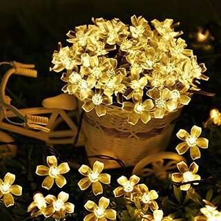                       Silicone Blooming Flower 3 Meter, 14 LED Fairy String Series Lights (Warm White, Pack of 1)                                              