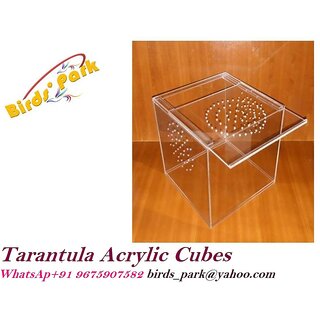                       Tarantula Acrylic  (Enclosure) Cubes Size 6 x 6 x 6 inch - Good for Tarantula Birds' Park                                              