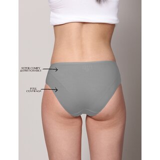 Ashleyandalvis Bamboo Micro Modal, Anti Bacterial, Skinny Soft, Premium Hipster Women Hipster Grey, Dark Blue Panty (Pack Of 2 )