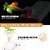 LED Night Lamp with Plug Smart Sensor Mushroom Flowers Beautiful Illumination Home Decoration Lights for Bedroom