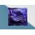 ProLove Premium Dotted Condoms, Black Current Flavoured (Pack, 3 Pieces)