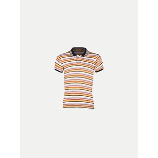                       Radprix Striped Men Polo Neck Multicolor T-Shirt                                              