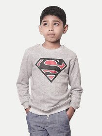 Rad Prix Full Sleeve Printed Boys Sweatshirt