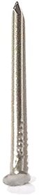 Chandan Stainless Steel Nail with Head