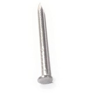 Chandan Stainless Steel Nails with Head