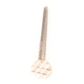                       Chandan Stainless Steel with Head Nail                                              