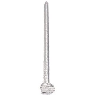                       Chandan Stainless Steel Nails with Head                                              