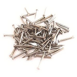 Chandan Stainless Steel Nails with Head
