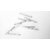 Chandan Stainless Steel Headless Nail