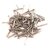 Chandan Stainless Steel Nails with Head