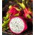 SKINELLA Dragon Fruit Face Mask (50 g)