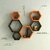 Wooden Wall Shelf (Number Of Shelves - 6, Brown, Orange)