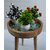 Onlinecraft Wooden Side Table Engineered Wood Side Table (Finish Color - Green, Pre-Assembled)